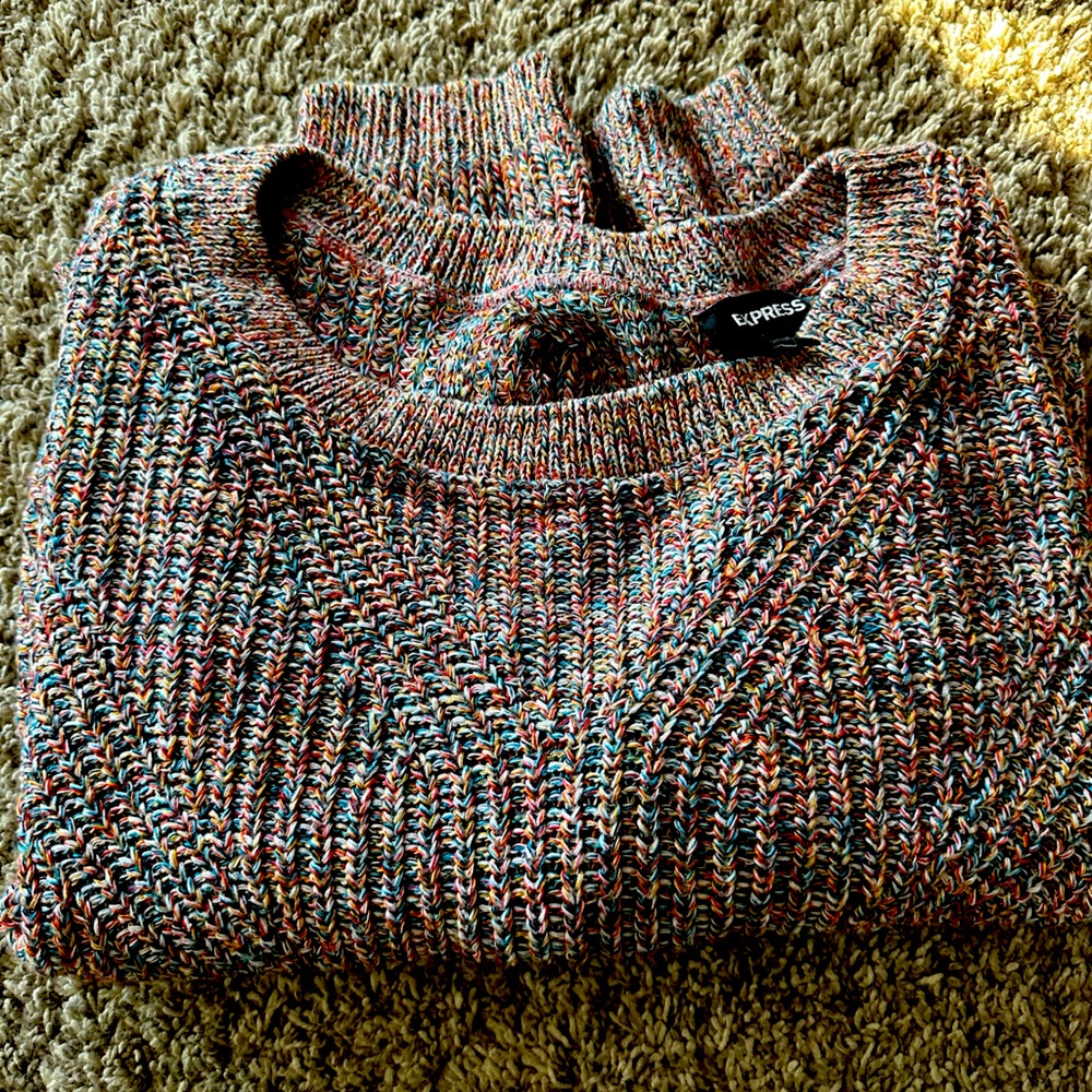 Express open back sweater